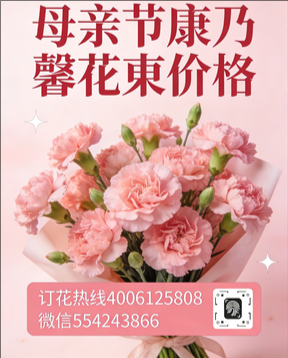 湖州吴兴区花店母亲节康乃馨花束